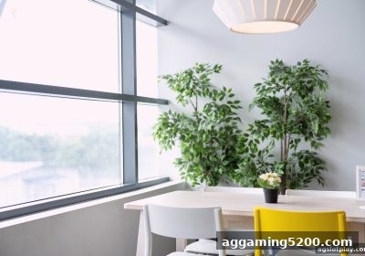 ag电子娱乐平台龙虎和玩法全攻略：规则、赔率与策略详解