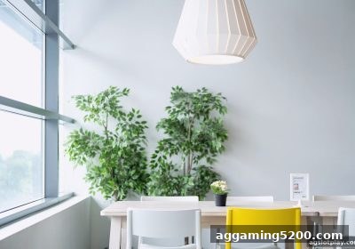 ag电子娱乐真人桌游全解析：核心玩法、周俸禄技巧与平台选择，助你畅享万人推牌九