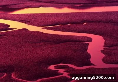 深度解析彩票冷热号：ag电子娱乐带你理性玩转统计策略