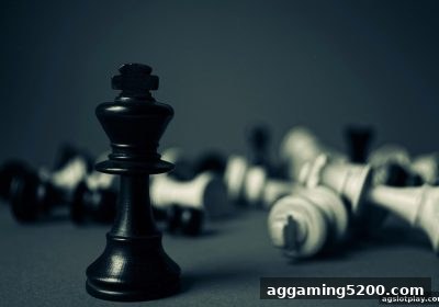 棋牌玩家群体特征与ag电子娱乐平台偏好解析