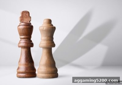 ag电子娱乐旗下LEAP电子象棋：角色系统与棋子功能深度解析
