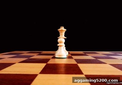 深度剖析：ag电子娱乐中打鱼机与麻将的心理博弈、概率策略及情绪管控