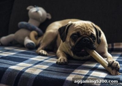 每日签到奖励全攻略：ag电子娱乐教您筛选靠谱平台与LOL博彩新思路