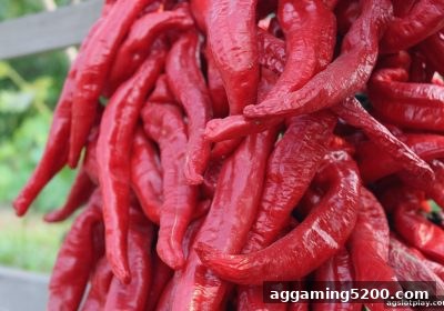 ag电子娱乐平台龙虎斗收益率解析：投注数据分析与红利领取全攻略