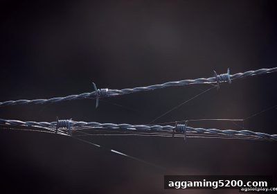 ag电子娱乐PK10平台玩法安全指南与拉新奖励全解析